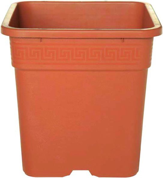 Vaso VEGA