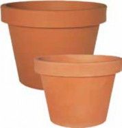 Vaso LIRA