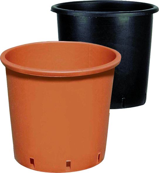 Vaso TONDO vivaio (con croce sotto)