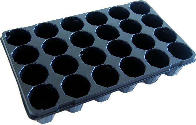 Alveoli tondi HERKUPAK
