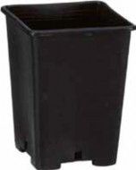 Vaso QUADRO