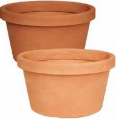 Vaso basso NORMA
